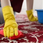 Carpet Cleaning Tips