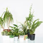 artificial plants